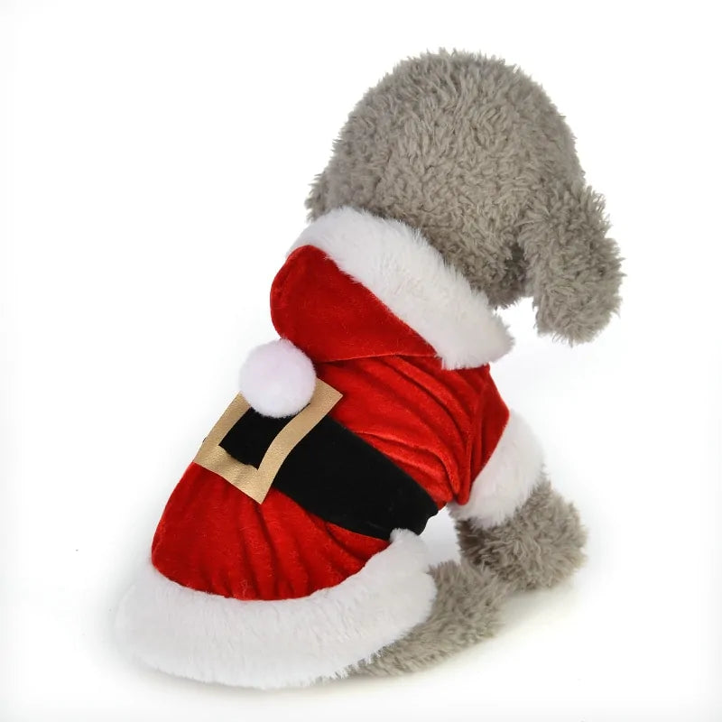 Santa Pet Outfit - ALL-IN-ONE GENSTORE & SERVICES