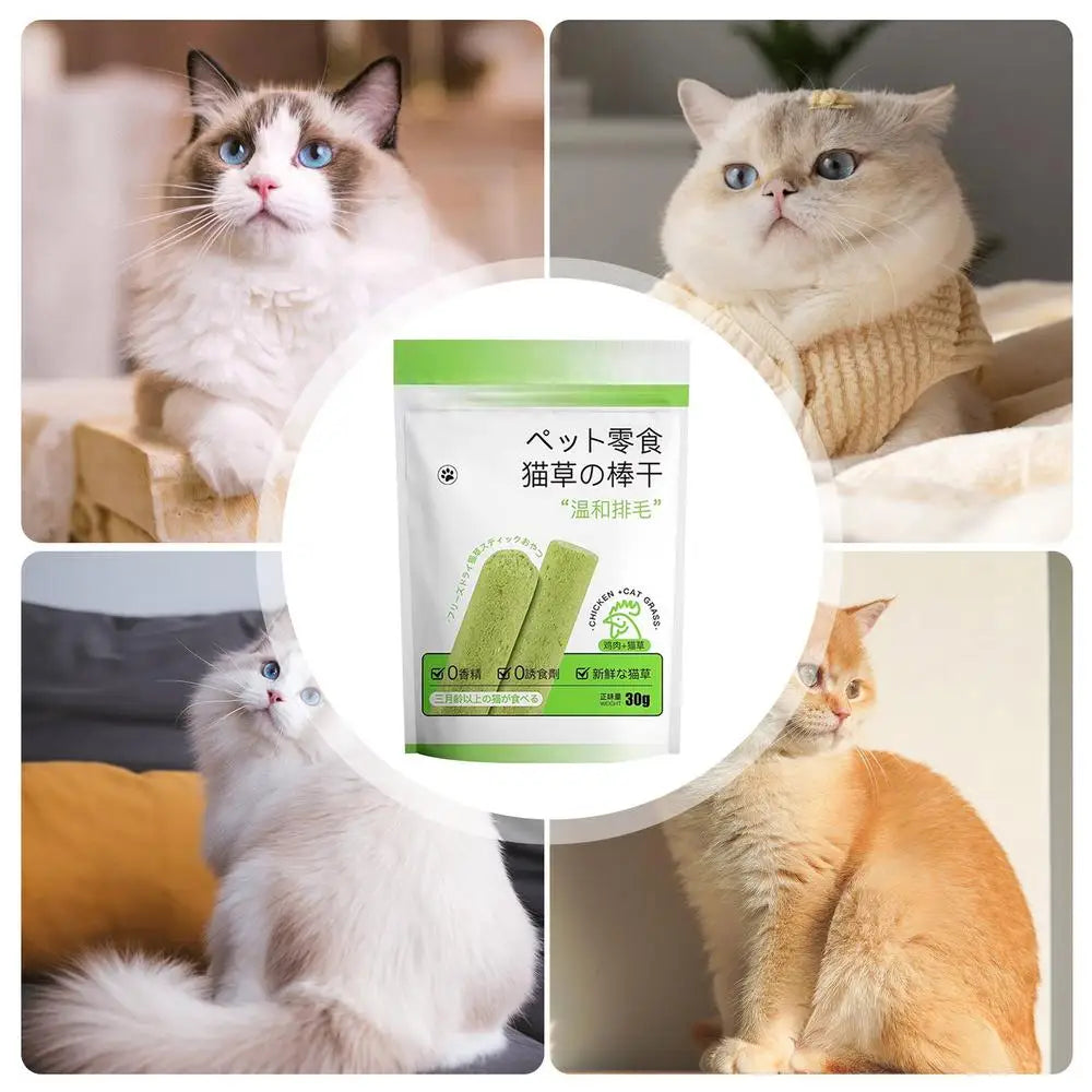 Cat Grass Teething Stick Natural Grass Molar Rod Catnip Toys for Cat Indoor Cat Grass Chew Sticks Kitten Grass Teething Stick - ALL-IN-ONE GENSTORE & SERVICES