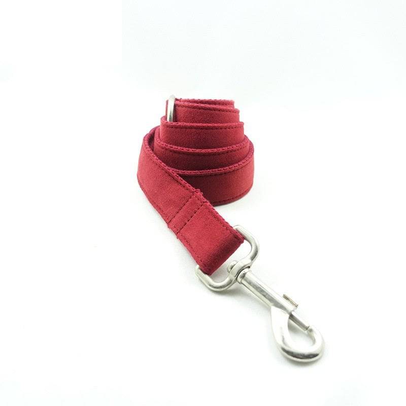 Collier de traction pour animaux de compagnie Collier pour chien