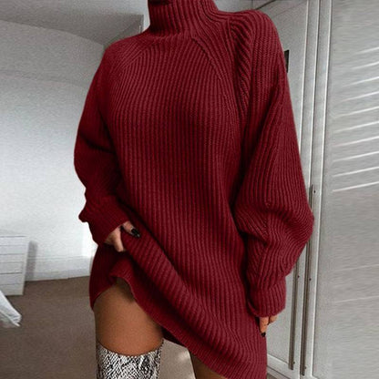 Long Sweater Dress with Solid Turtleneck for Women - ALL-IN-ONE GENSTORE & SERVICES