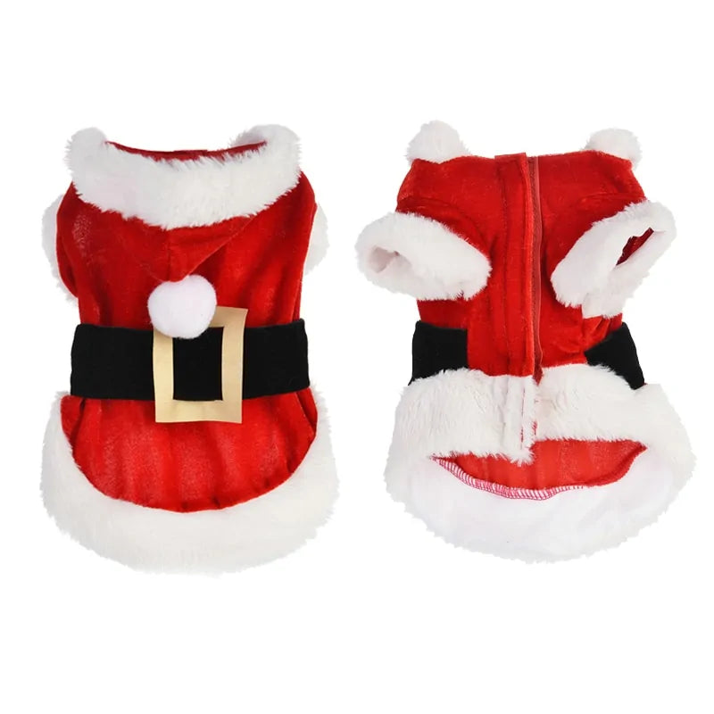 Santa Pet Outfit - ALL-IN-ONE GENSTORE & SERVICES